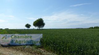 © A. Cassigneul/GFA © A. Cassigneul/GFA